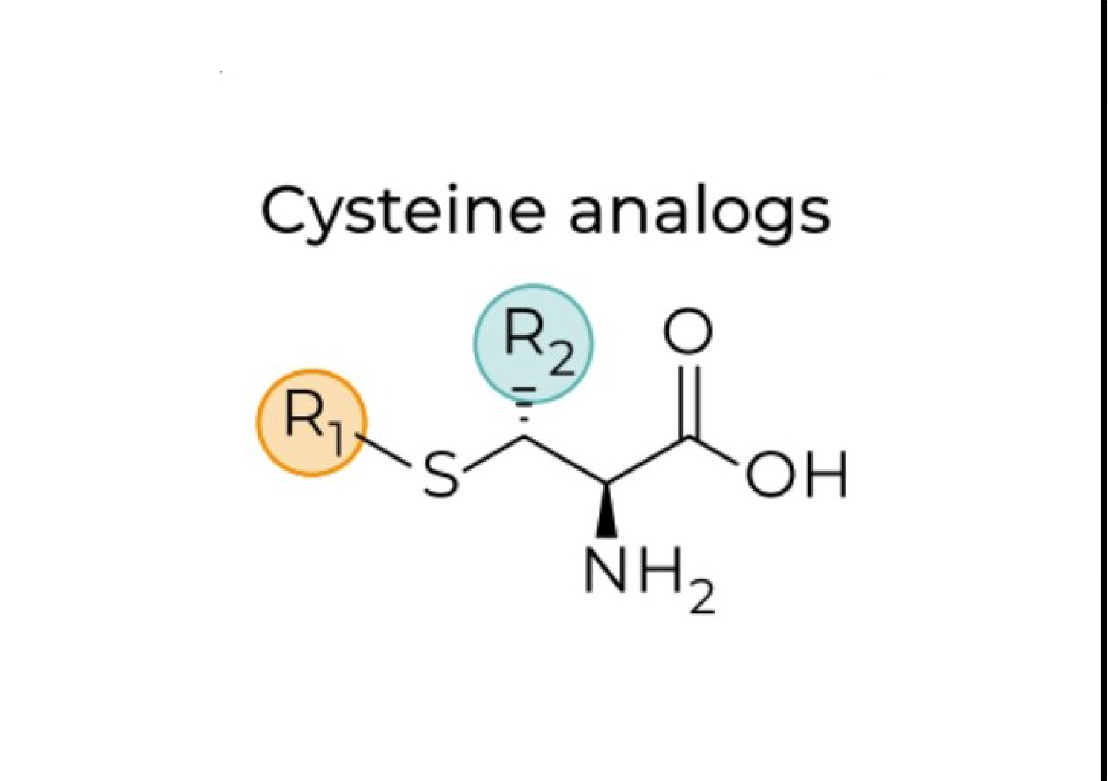 ComingSoon_Cysteine-3