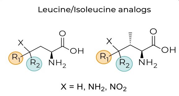 ComingSoon_IsoLeucine